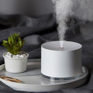 Portable Air Diffuser for Home