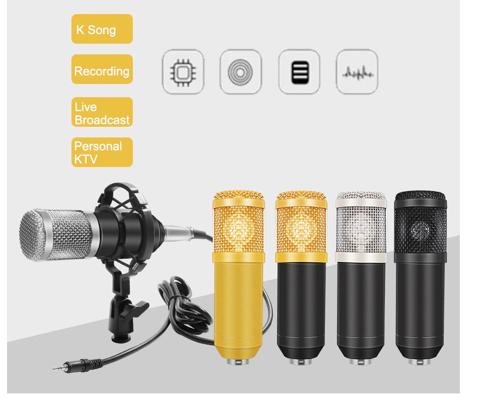 Professional Recording Microphone Set
