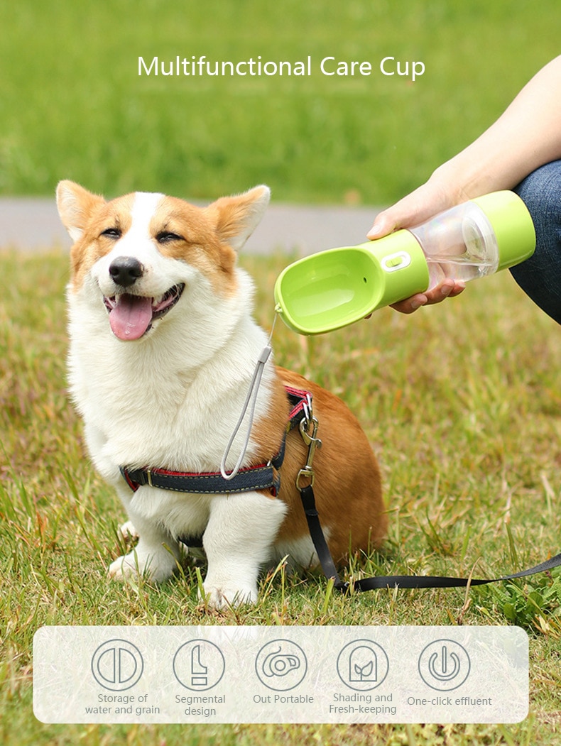 Dog's Travel Water Bottle with Spoon