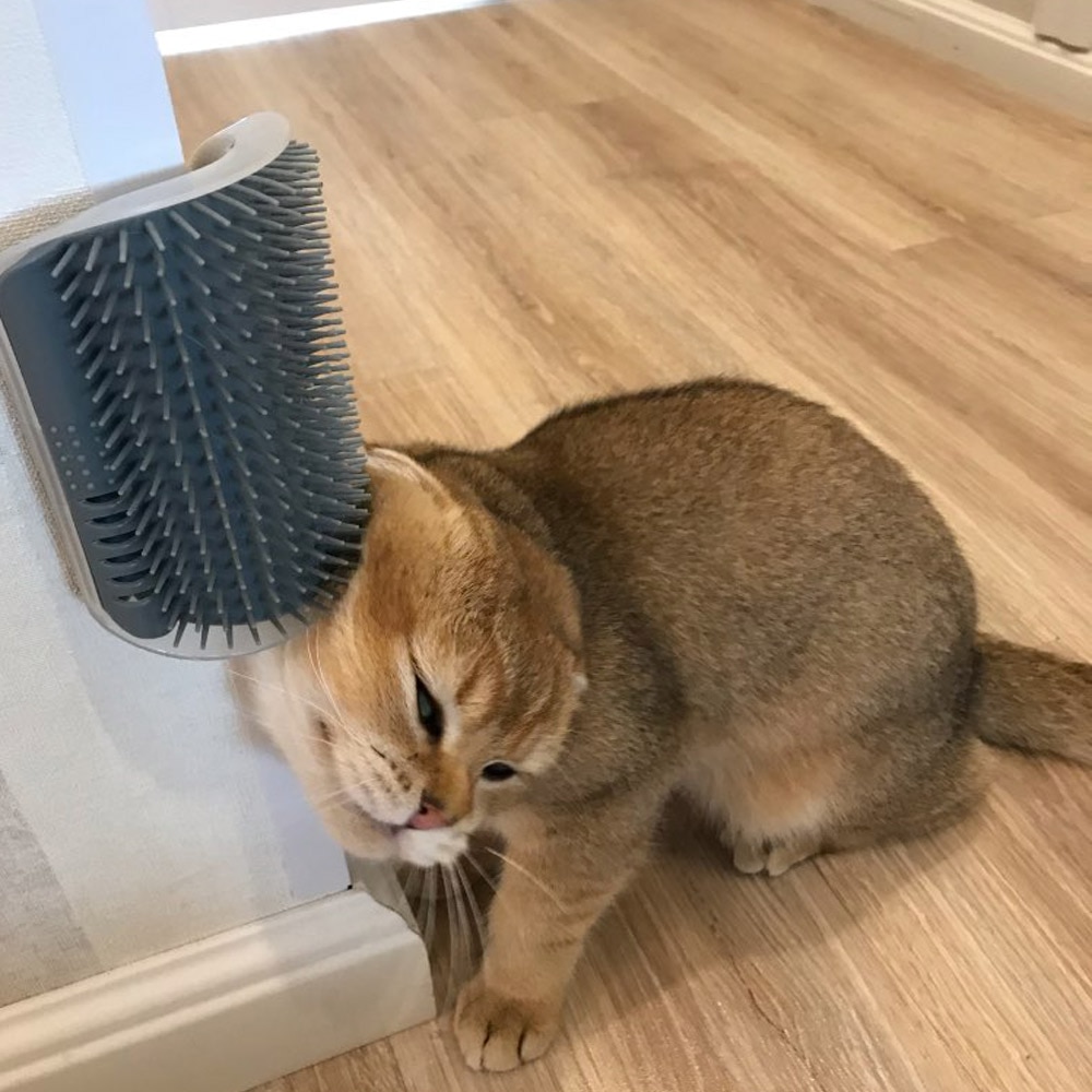 Cats Self-Grooming Corner Comb