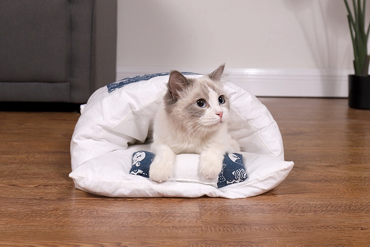 Warm Cat Sleeping Bag with Pillow