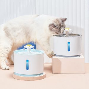 Keep Your Cat Hydrated with a USB Cat Water Fountain