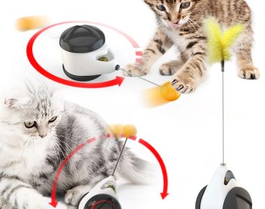 Why Your Cat Needs a Tumbler Swing Toy