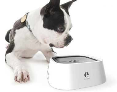 A Revolution in Pet Hydration – The ELSPET Floating Bowl