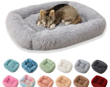 Square Dog Beds that Pamper Your Pets